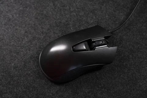 Computer mouse. Stock Photos