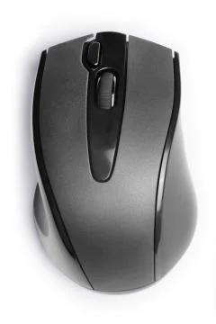 Computer mouse top view isolated with clipping path Stock-Fotos