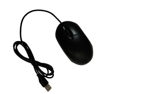 Computer mouse on white background Stock Photos
