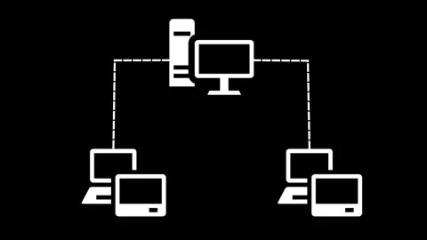 Computer Network Animation with Central Server Vídeos de archivo 317116032