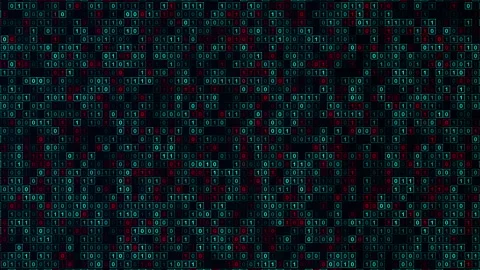 Computer Network Connection Binary Data Stock Footage 339648838