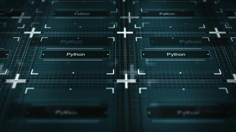 Computer Network of Software Program Running - Python Stock Footage 256484951