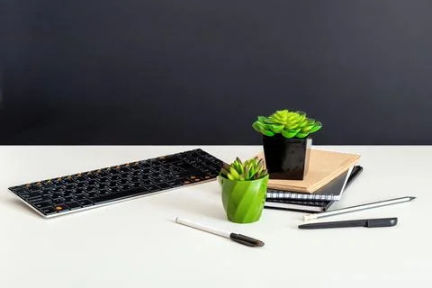 Computer notepads and succulent flowers. Keyboard stationery at home office w Stock Photos