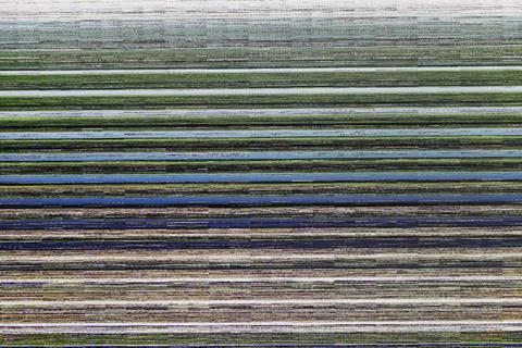 Computer or TV screen without signal. Missing signal and glitch of the device Foto stock