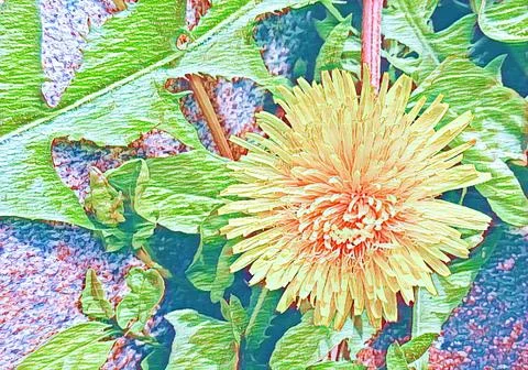 Computer painting of single dandelion in spring 스톡 사진