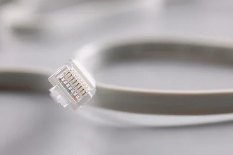 Computer patch cord cable on gray background Stock Photos
