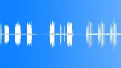 COMPUTER, PRINTER Sound Effect