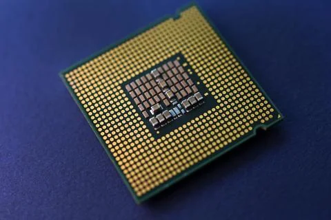 A computer processor on a blue background. Contacts on the processor case. 스톡 사진