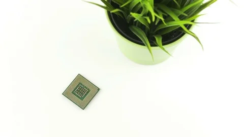 Computer Processor Chip Next To Green Grass In Ceramic Pot Panning Movement Stock Footage 82586674