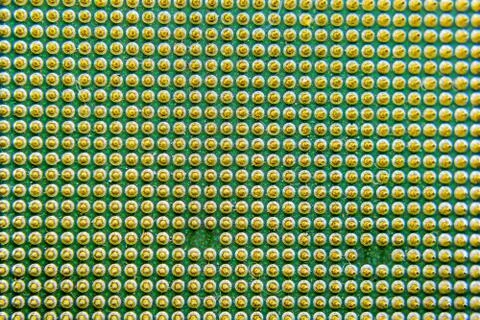 Computer processor, contact feet. Electronic board with electrical components 写真素材