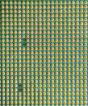 Computer processor, contact feet. Electronic board with electrical components 写真素材