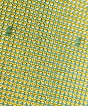 Computer processor, contact feet. Electronic board with electrical components 写真素材