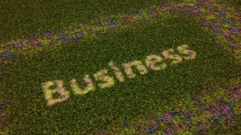 A computer processor with millions of connections and signals. Animation. The Stock Footage 157781899