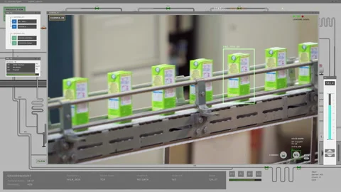 Computer program system is following the food products on the conveyor belt Stock Footage 193624695