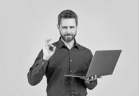 Computer programmer show ring gesture holding portable laptop grey background Stock Photos