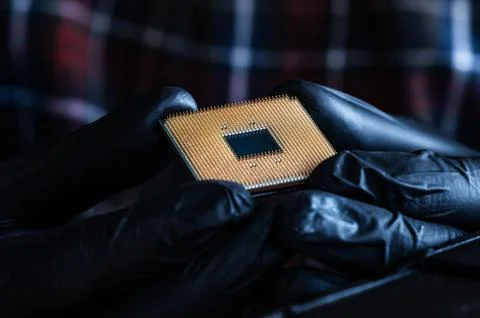 Computer Repairman Is Examining Pc Processor 库存照片
