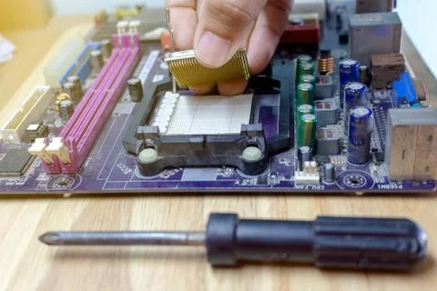 Computer repairs install processor into the motherboard socket for desttop (p 写真素材