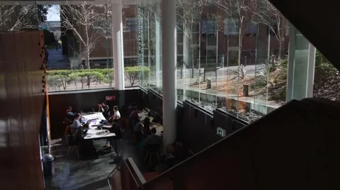 Computer science students studying Stock Footage 55202424