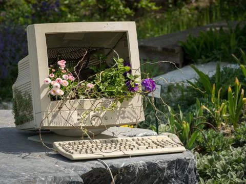 Computer screen and keyboard used as decoration in a garden with various flow Stock Photos