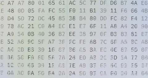 Computer Screen - Data Code Video stock 138180434