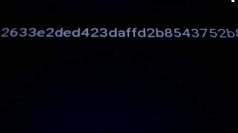 Computer Screen Displaying Directory File List with Properties, Abstract Stock Footage 223575562