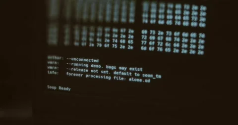 Computer screen displaying hex code and text Stock Footage 321765565