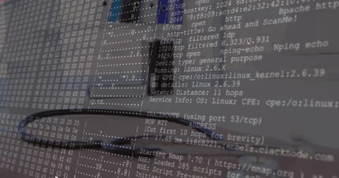 Computer screen displaying live network scan and hex dump in grayscale flat Stock Footage 307564165