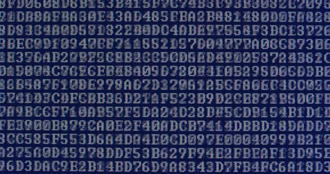 Computer Screen - Information Stock Footage 137710806