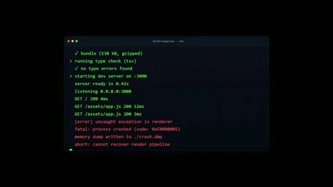 Computer screen showing software build process failing with a red fatal error Stock Footage 345762333