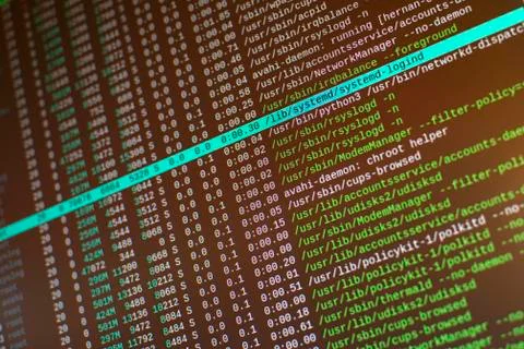 A computer screen showing system information on a terminal emulator Photos