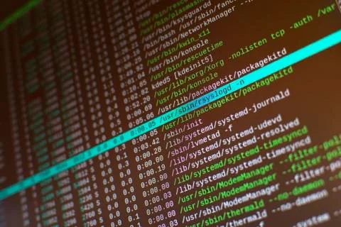 A computer screen showing system information on a terminal emulator 写真素材