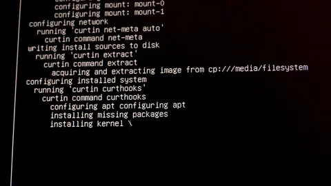 Computer Screen Shows "Installing Kernel" and Other Technical Messages During Stock Footage 105043362