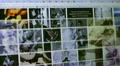 The computer screen. Time lapse HD Footage