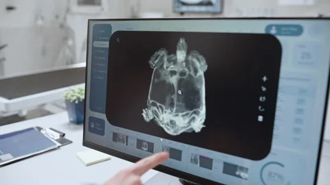 Computer Screen in Veterinary Clinic Stock Footage 232587663