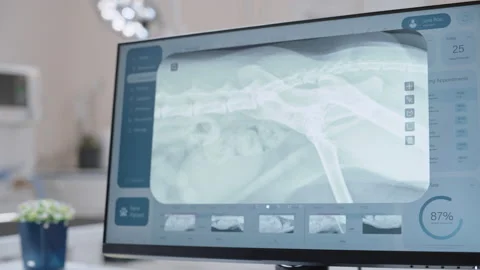 Computer Screen in Veterinary Clinic Stock Footage 232587772
