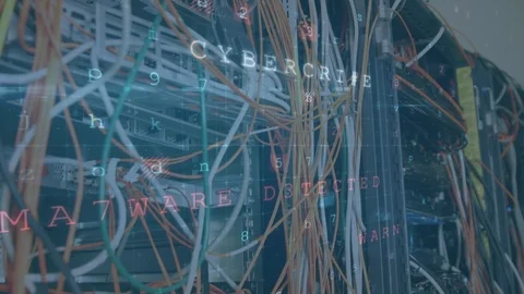 Computer server and cables with warning messages appearing in foreground 库存影片 114831841
