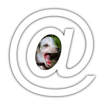Computer sign dog  .web.information. Stock Illustration