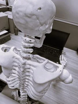 Computer Skeleton Stock Photos