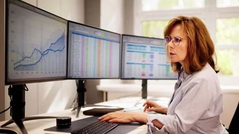 Computer Spreadsheet Data Analyst Woman Stock Footage 273794889