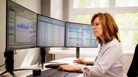 Computer Spreadsheet Data Analyst Woman Stock Footage 274378255