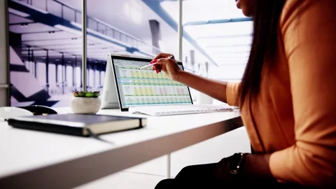 Computer Spreadsheet Data Analyst Woman Stock Footage 274770070