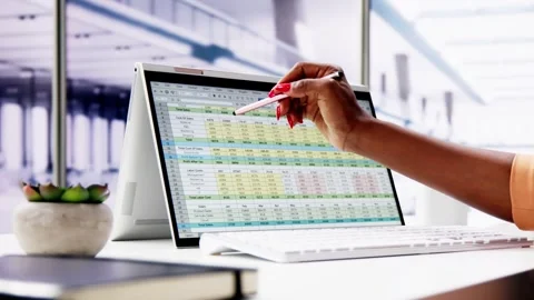 Computer Spreadsheet Data Analyst Woman Stock Footage 274771177