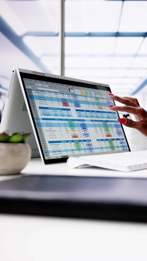 Computer Spreadsheet Data Analyst Woman Stock Footage 274771779