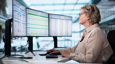 Computer Spreadsheet Data Analyst Woman Stock Footage 297513550