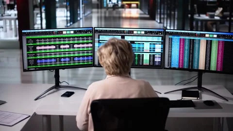 Computer Spreadsheet Data Analyst Woman Stock Footage 297513863