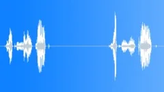 Computer talk - Checking your card Sound Effect