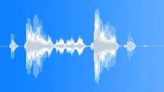 Computer talk - operation started Sound Effect