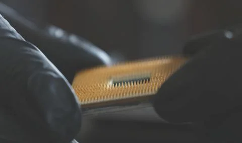 Computer Technician Holding Pc Processor 库存照片
