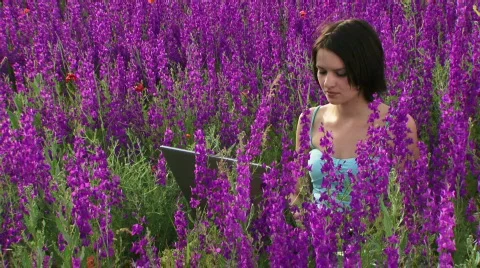 Computer technics on the nature Stock-Footage 735175