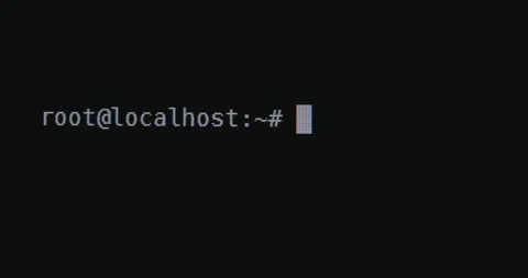 Computer - Terminal Prompt Stock Footage 137710704